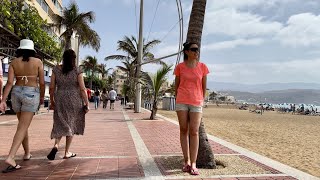 Poema del Mar Aquarium Las Palmas 4K [upl. by Eduino514]