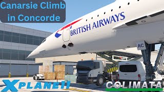 XPlane 11  Colimata Concorde V2  Canarsie Climb [upl. by Zoubek626]