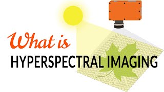 What is hyperspectral imaging  Tutorial [upl. by Cleo]