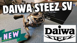 Daiwa Steez SV 2024 FIRST IMPRESSIONS 750 Really [upl. by Emylee450]