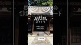 お寺でクラシック♪御霊屋コンサート【いよいよ明日】長保寺 紀州徳川家菩提寺 ソプラノ歌手たまきひみか [upl. by Chip852]