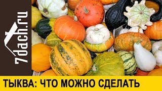 Тыква какие бывают и что из них можно сделать Свеча из тыквы  7 дач [upl. by Swihart438]