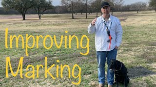 Retriever Training Improving Marking 7th setup [upl. by Spanjian]