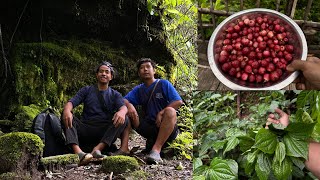 Exploring a Mysterious Place in My Village Arunachal Pradesh Collecting Wild Berries and Veggies [upl. by Sidnac]