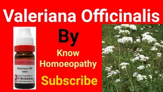 Valeriana Homeopathic Medicine  Valeriana Officinalis  Valeriana in Hindi [upl. by Carlota]