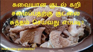 ஆட்டு குடல் சுத்தம் செய்வது எப்படி  Boti Cleaning in Tamil [upl. by Medlin]