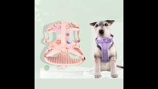 Give your beloved pet a highquality harness [upl. by Coster75]