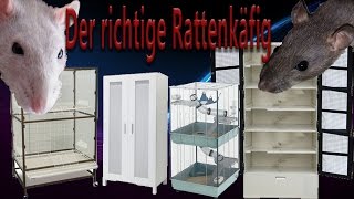 Rattenhaltung aber RICHTIG der Rattenkäfig [upl. by Kelcie586]