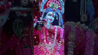 Kanha mere dil man shahad tune bhar deeya  short  krishna  yshort [upl. by Wheelwright]