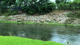 Stream Sounds help Stress amp Anxiety Relief Deep Relaxation  Calm Meditation  Peace [upl. by Earesed164]