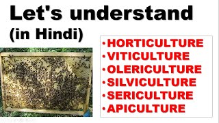 Difference bw HORTICULTURE VITICULTURE OLERICULTURE SILVICULTURE SERICULTURE amp APICULTURE [upl. by Ellennad]