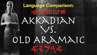 Akkadian vs Old Aramaic  A Comparison of Semitic Languages Using the Tell Fekheriyeh Inscription [upl. by Jarred]