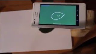 Petiole how to measure leaf area with a mobile app [upl. by Asserat]