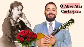 CHIQUINHA GONZAGA a MAESTRINA do CHORO  Gênios da Música por Danilo Brito [upl. by Tlaw]