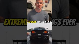 Ultra Rare Shelby GT500 Mustang Code Red shorts fordmustang ford [upl. by Farman]