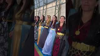 Kurdish DANCE ☀️ kurdishmusic hakkari wedding keşfet kurdistan halay düğün gever [upl. by Naerad839]