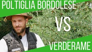 POLTIGLIA BORDOLESE O VERDERAME COSA USARE DIFFERENZE USO STOCKER 15L  ORTO E GIARDINAGGIO [upl. by Tteirrah]