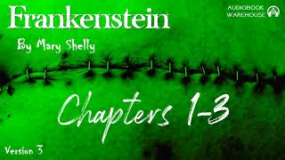 Frankenstein chapters 13 By Mary Shelly  Full Audiobook 🎧📖  AudioBooks  Audiobook Warehouse [upl. by Atteuqihc]