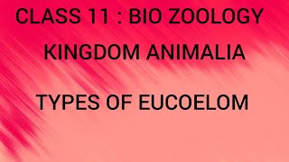 Types of Eucoelom  Kingdom Animalia  Class 11  Tamil [upl. by Oinotnaocram]