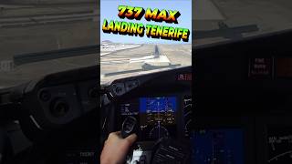 A Pilots View  Boeing 737 Max  POV Cockpit Landing Tenerife shorts aviation Landing [upl. by Gardol]