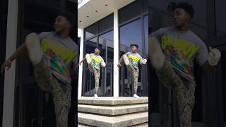 SENSATIONAL by Chris Brown Dance Video dance afrobeat [upl. by Eustis828]