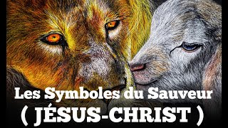 Signification Biblique des  Animaux de Symboles  de JÉSUSCHRIST [upl. by Sher]