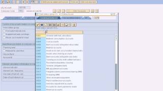 SAP FI FS00 GL MASTERS CREATION for General Ledger Accounting [upl. by Ariaic]