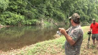 Middle TN Creek Fishing [upl. by Althea]