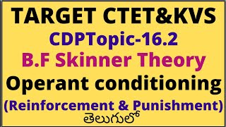 BF Skinner Operant Conditioning Theory CDP Topic162for CTETampKVS [upl. by Ater]