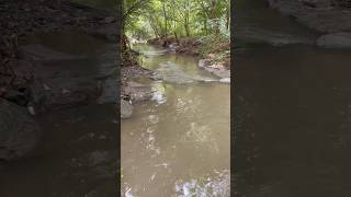 Creeks creek creekfishing creekside creeks ultralight ultralightfishing getoutdoors [upl. by Solita]