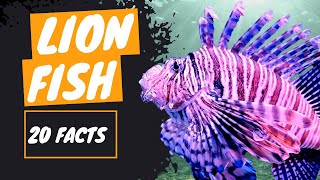 💥 THE LIONFISH Hermaphroditism Danger and Lethal Invasion  Devastation in its Wake [upl. by Garson343]