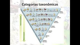 INTRODUÇÃO À BIOLOGIA  Biologia com Samuel Cunha [upl. by Yekcin]