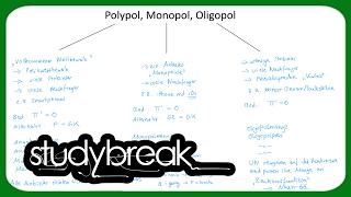 Polypol Oligopol Monopol  Mikroökonomie [upl. by Ahsiuqal439]