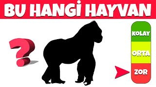 HAYVAN GÖLGE BULMACASI Hayvanları Gölgelerinden Tanıyabilir misin  Kolay Orta Zor  Bul Bakalım [upl. by Anael]