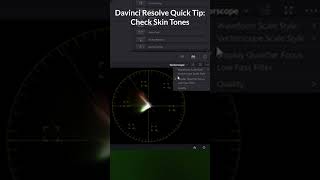 Check Skin Tones with Vectorscope  Davinci Resolve Color Grading Tip [upl. by Racso]