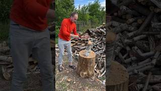 Dilettante or Professional woodworking firewood diy [upl. by Alien196]