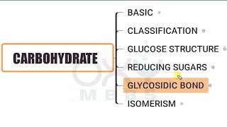 BIOCHEMISTRY Carbohydrate Part 5  Glycosidic Bond [upl. by Nairrod500]