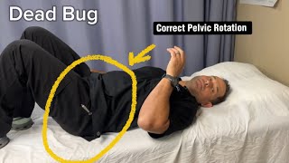 Dead Bug  Correct Pelvic Rotation [upl. by Idnahs]