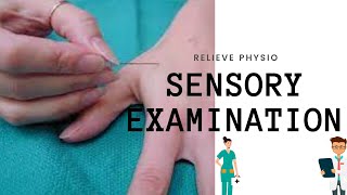 Sensory Examination  Special Test  Sensory Examination in Physiotherapy [upl. by Culliton]