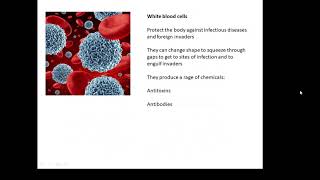 BTEC Applied Science Unit 1 Biology Specialised Cells [upl. by Jeremie53]