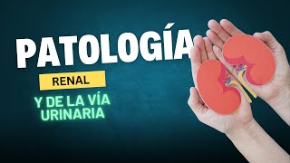 Emisión en directo  Patología renal y de la vía urinaria  Patología 2024B [upl. by Dlorrej173]