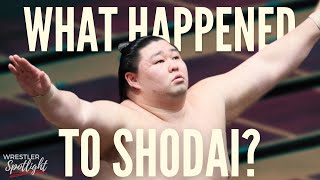 Whats Happening to Shodai  Sumo Wrestler Spotlight Ep 9 [upl. by Collis200]