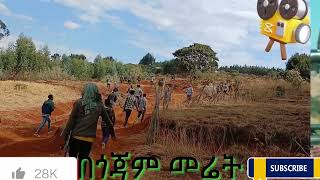 New gojjam kererto  አለነ ጸጋ  ና ጉዱ  Na gudu New Ethiopian Music 2024 Official Music Video [upl. by Ailisab]