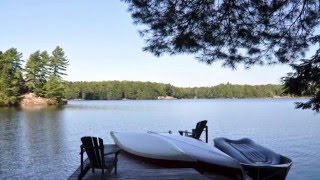 Muskoka Cottage for Rent 356 on Bigwind Lake near Bracebridge Ontario [upl. by Goar]