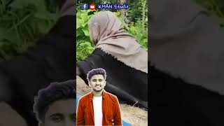 Atif Ahmed niloyniloy ভাইর কবরে 😭। Ami Moira gele kanbi 😭 WhatsApp status। AJ OFFICIAL 586 [upl. by Gona]