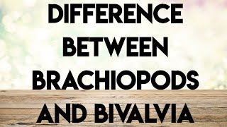 Geology palaeontologyecture series difference between brachiopods and bivalvia [upl. by Annadiane521]