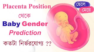 প্লাসেন্টা থেকে বেবী জেন্ডার নির্ধারণ  Placenta Position and Baby Gender  The Bong Parenting [upl. by Brindell412]