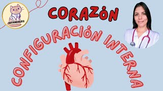 Configuracion interna del corazon  Astragalito [upl. by Mitchael]