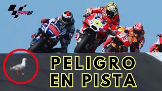 TOP 10 CARRERAS de MOTO GP de Todos los Tiempos [upl. by Akceber298]