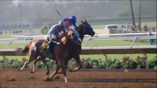 Breeders Cup 2016  Promo [upl. by Noraha]